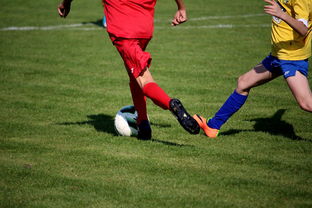 开云体育平台-LPL多个队伍重组计划曝光转会期极度混乱，lpl战队转会期